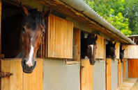 free Upper Haugh stable construction quotes